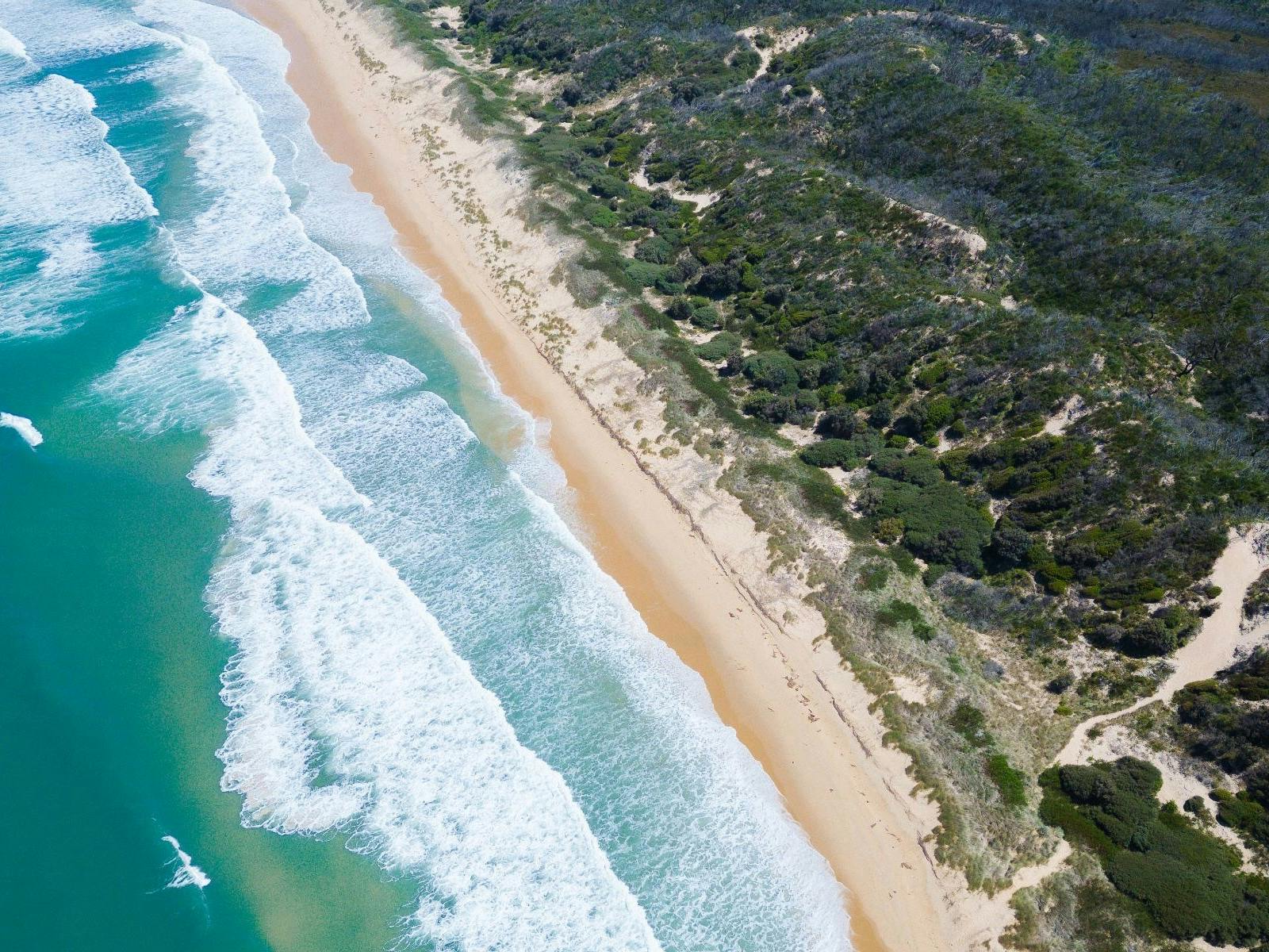 Aerial view of Cape Conran beach