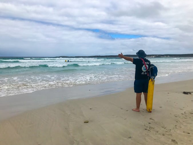 Snorkel Surf and Sealife on the Fleurieu