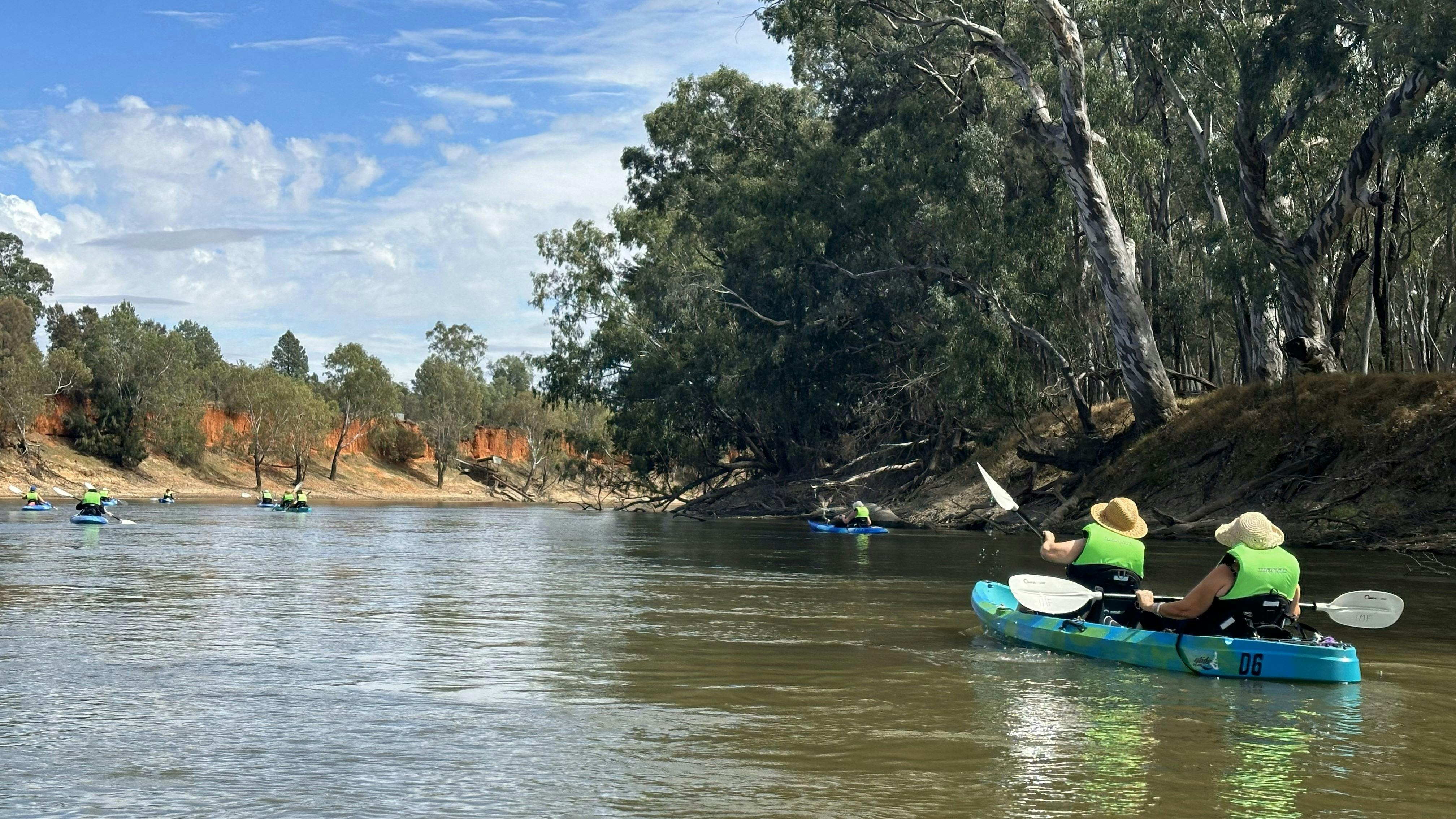 Beginners Kayaking Narrandera with Koala Spotting.