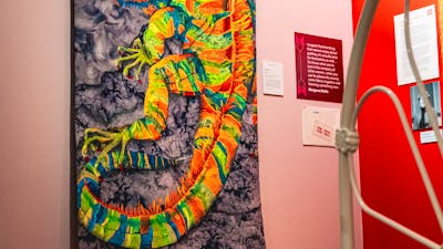 Iggy quilt by Bronwyn Hill. Bright iguana quilt with colourful embroidery and patchwork