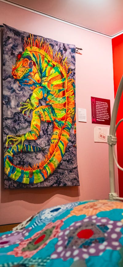 Iggy quilt by Bronwyn Hill. Bright iguana quilt with colourful embroidery and patchwork