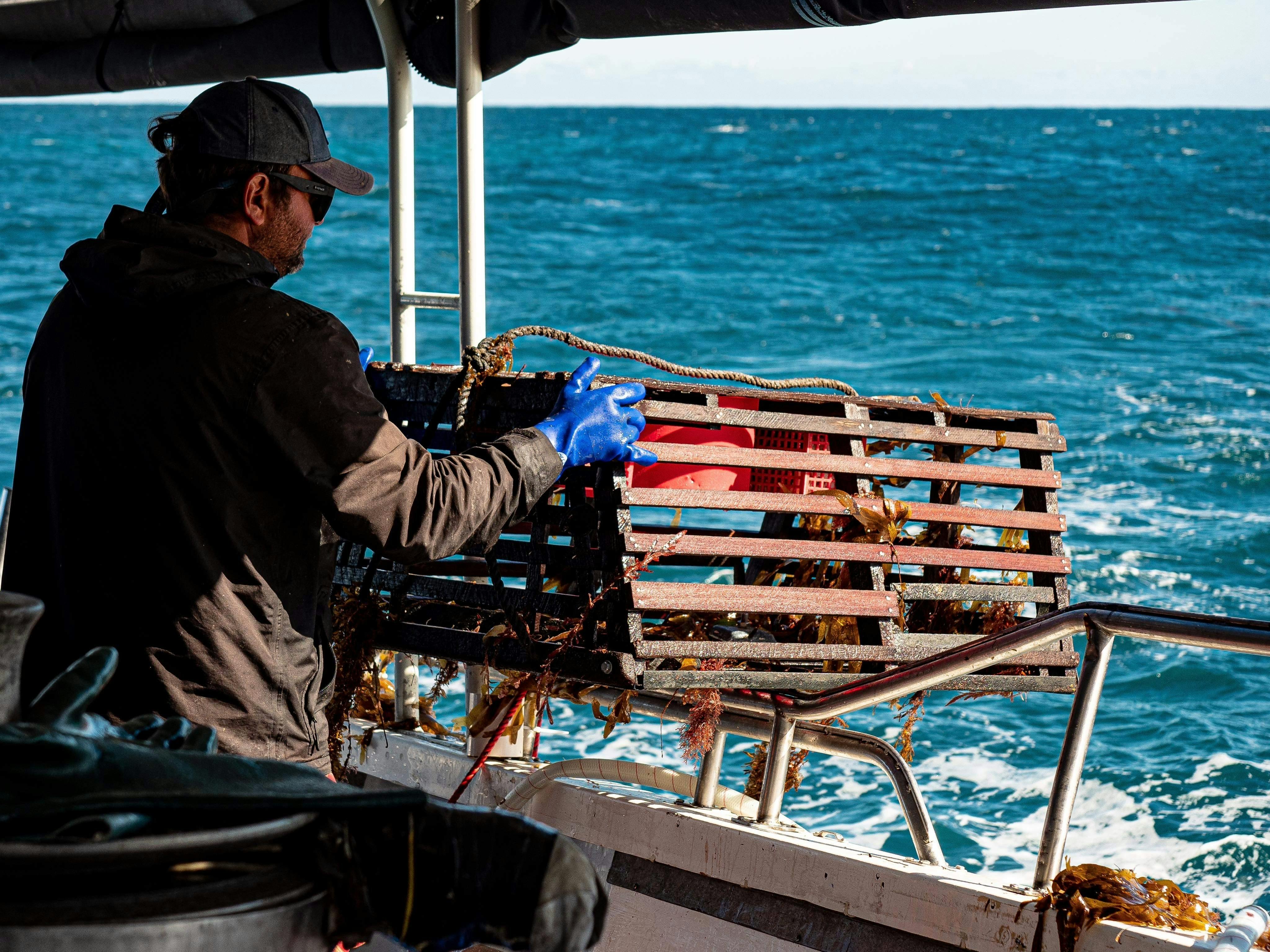 Lobster Tour Jurien Bay