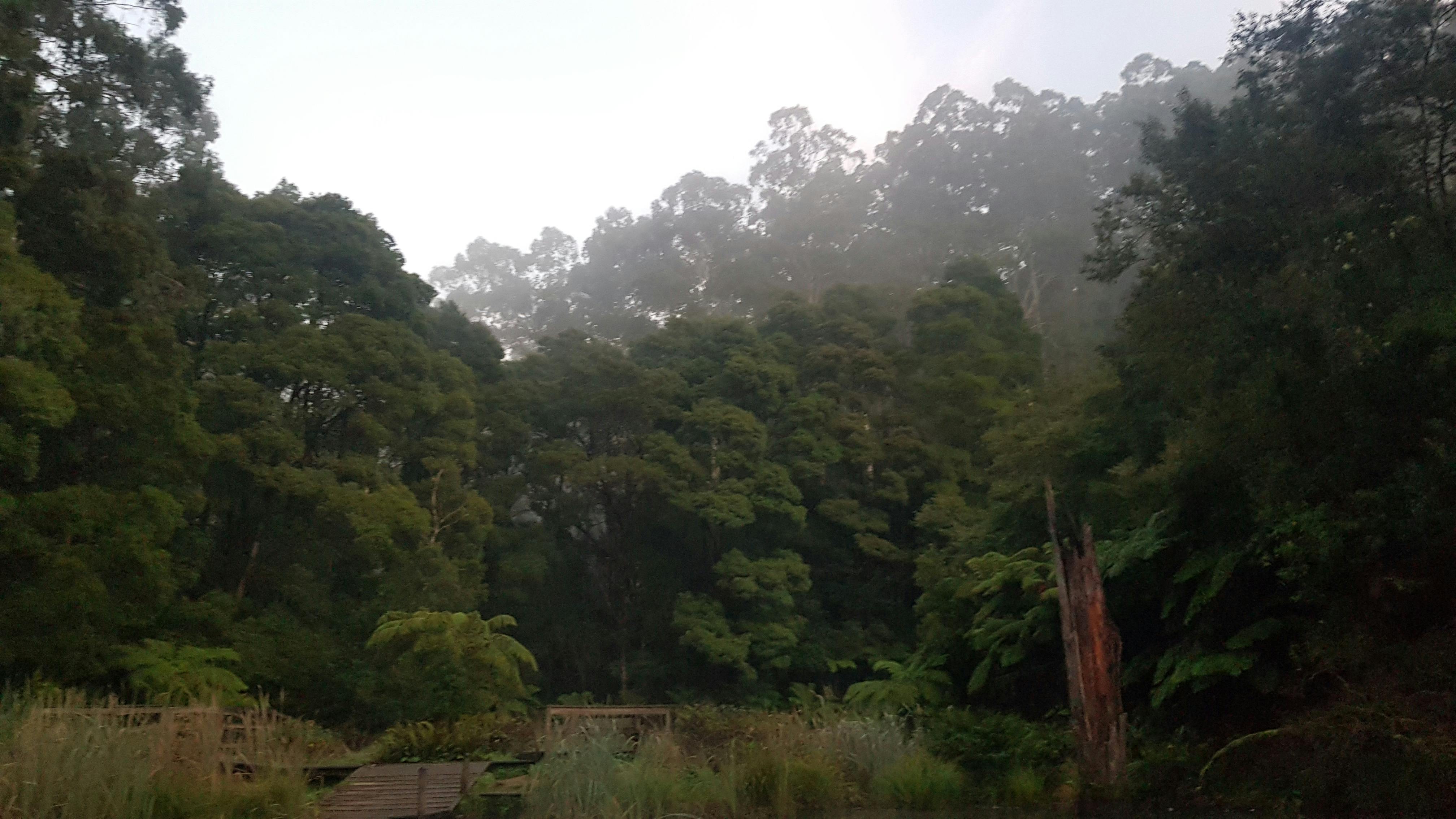 Lake Elizabeth