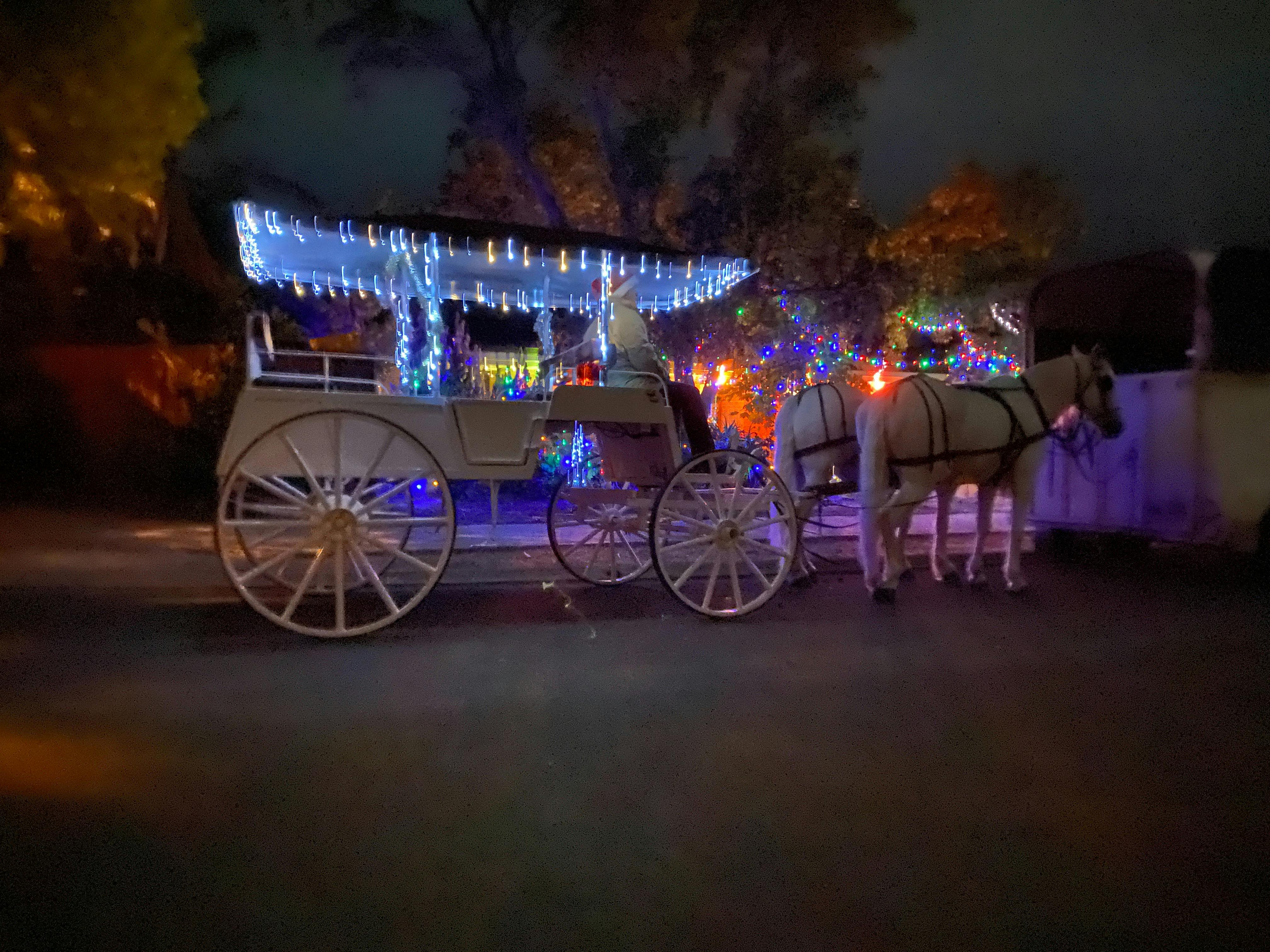 Horse Drawn Christmas Light Tour