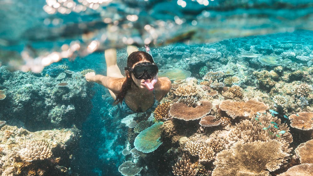 Pro Dive Magnetic Island