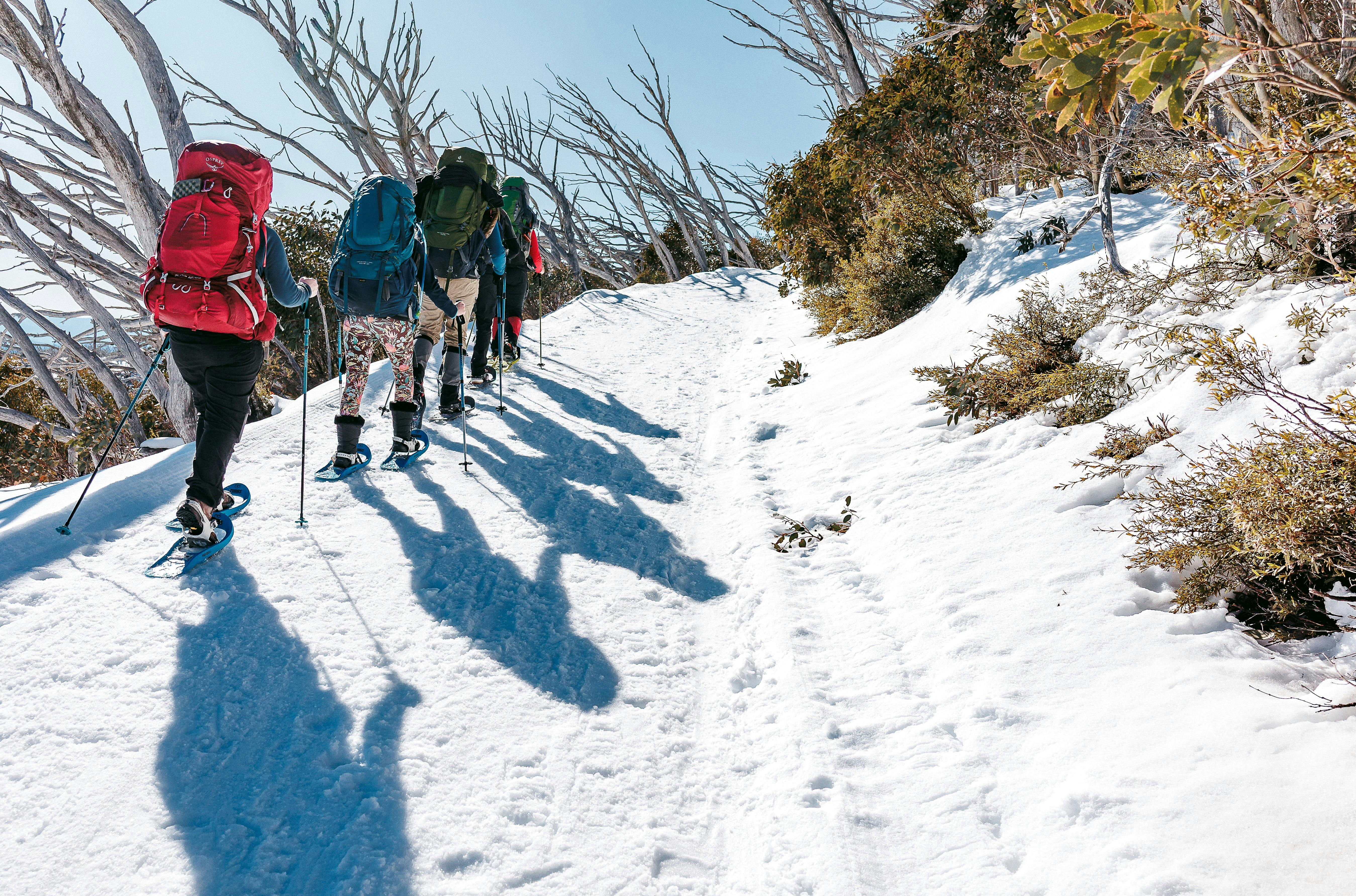 A group of hikers on snowshoes in the warmth of morning sun
