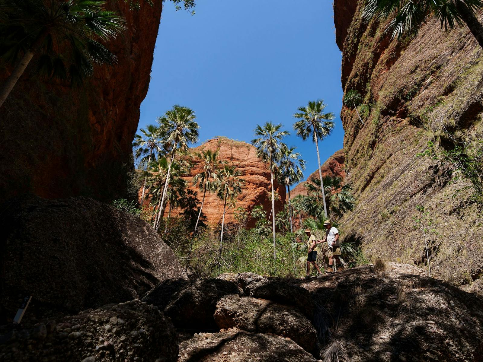 Couple walking in Mini Palms