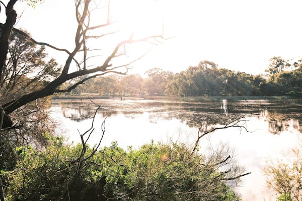 Lake Claremont