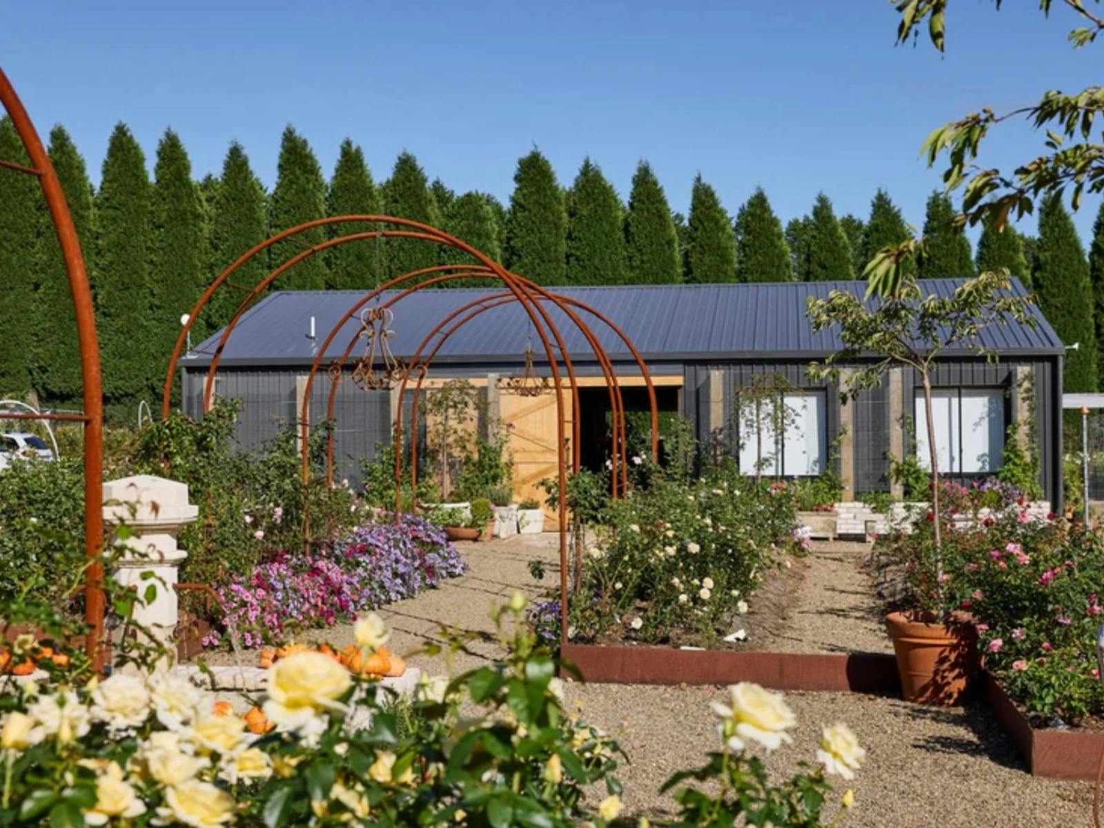 Oxley Hill Farm Flowers 6