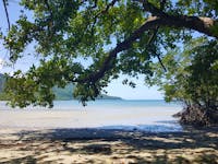 A view of the Beach from the Kulki Boardwalk at Cape Tribulation