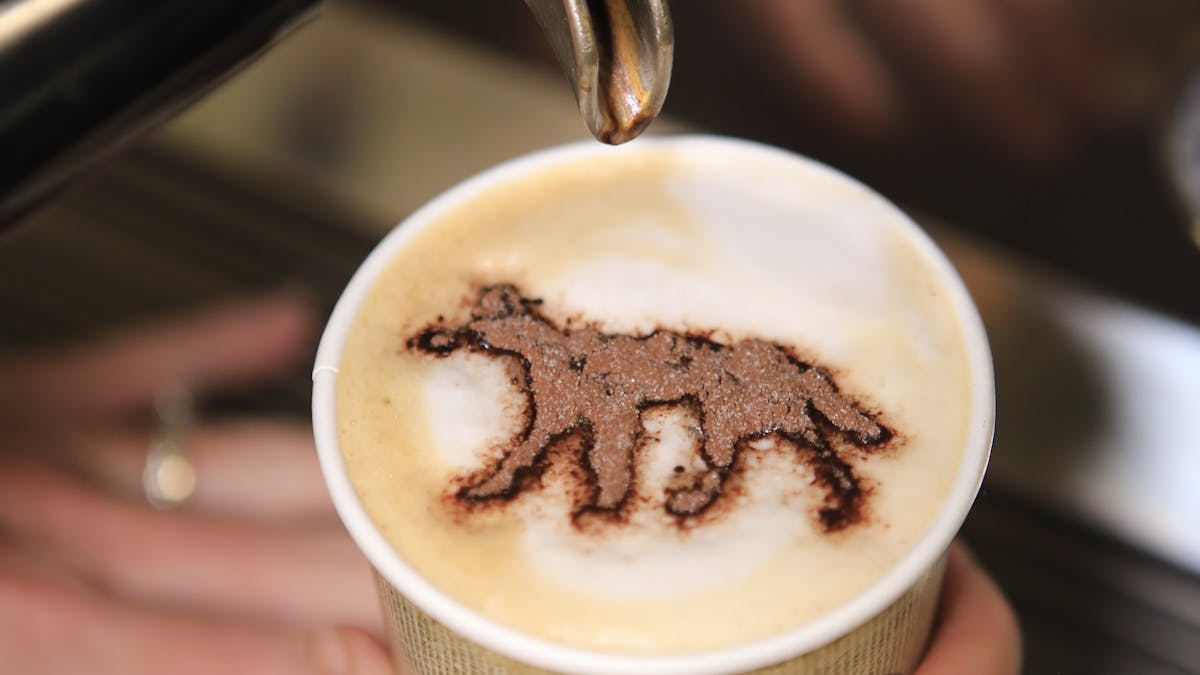 Cathedrals on Fraser has the best coffee on the Island!