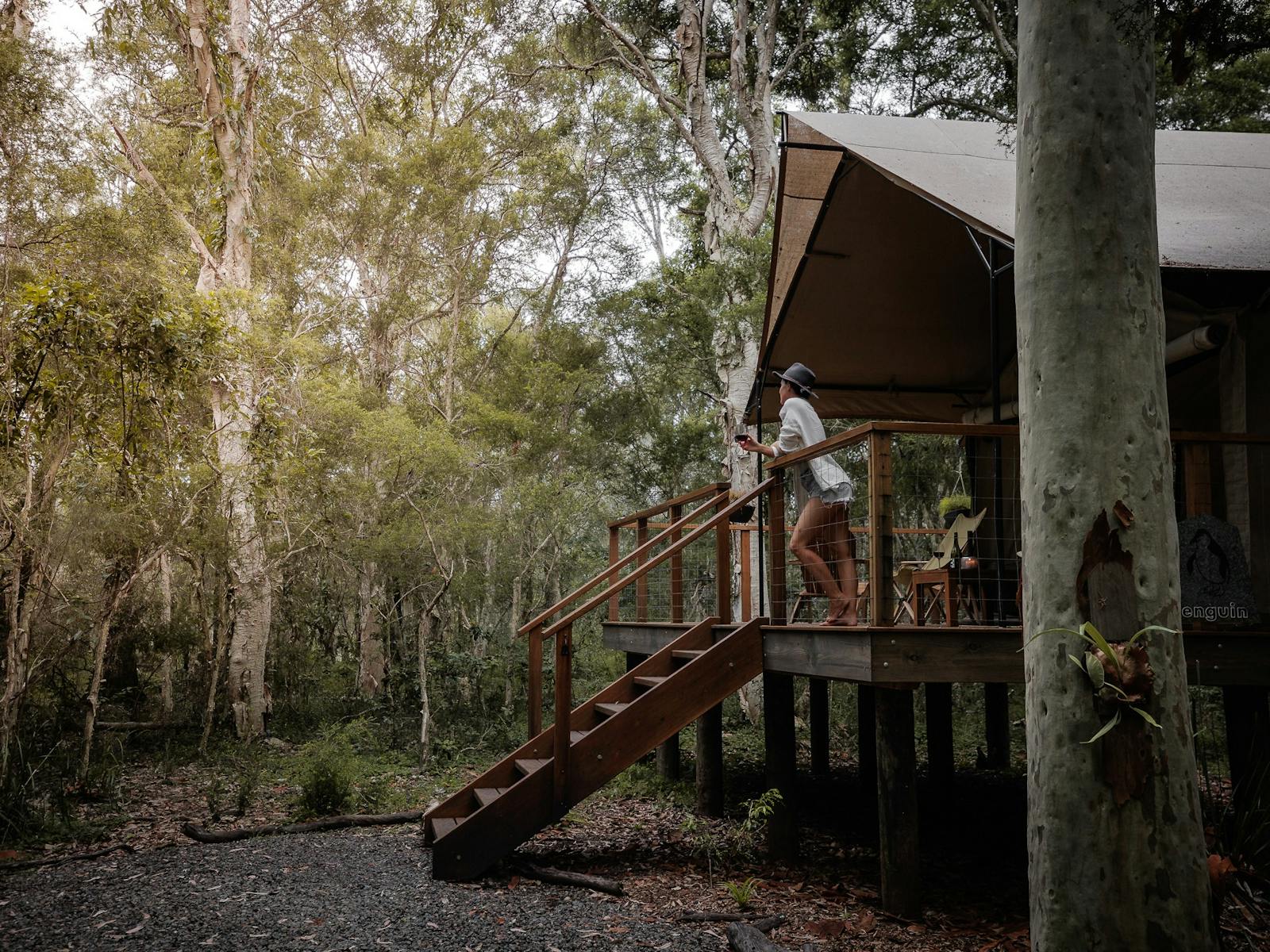 Luxury safari tent nestled in the tranquil Australian bush.