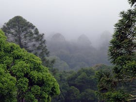 Bunya Mountains Getaway
