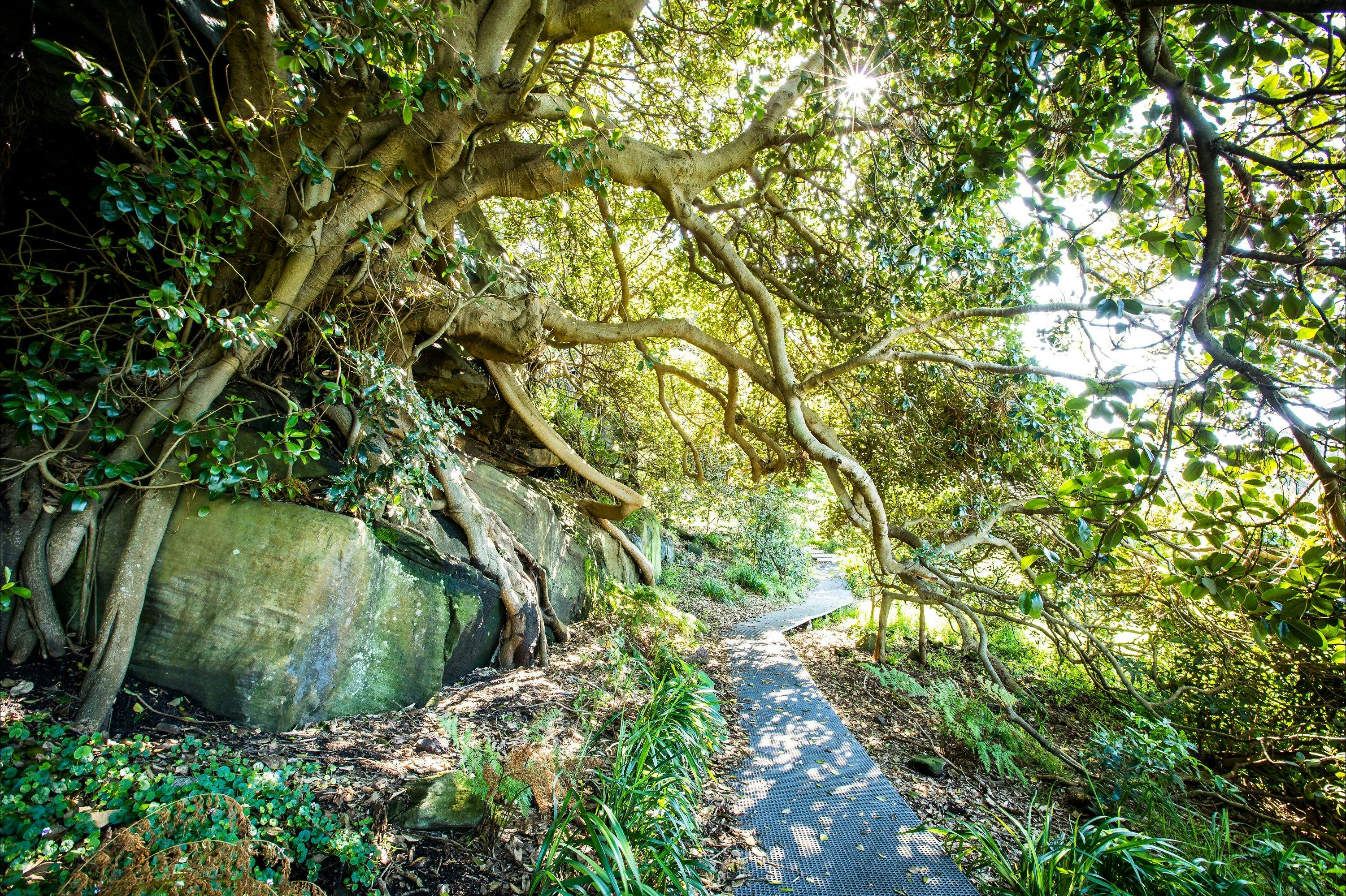 Walking tracks, Woolwich Parklands