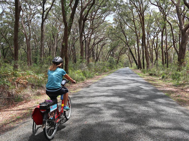 Cycling the Southern Highlands in NSW.