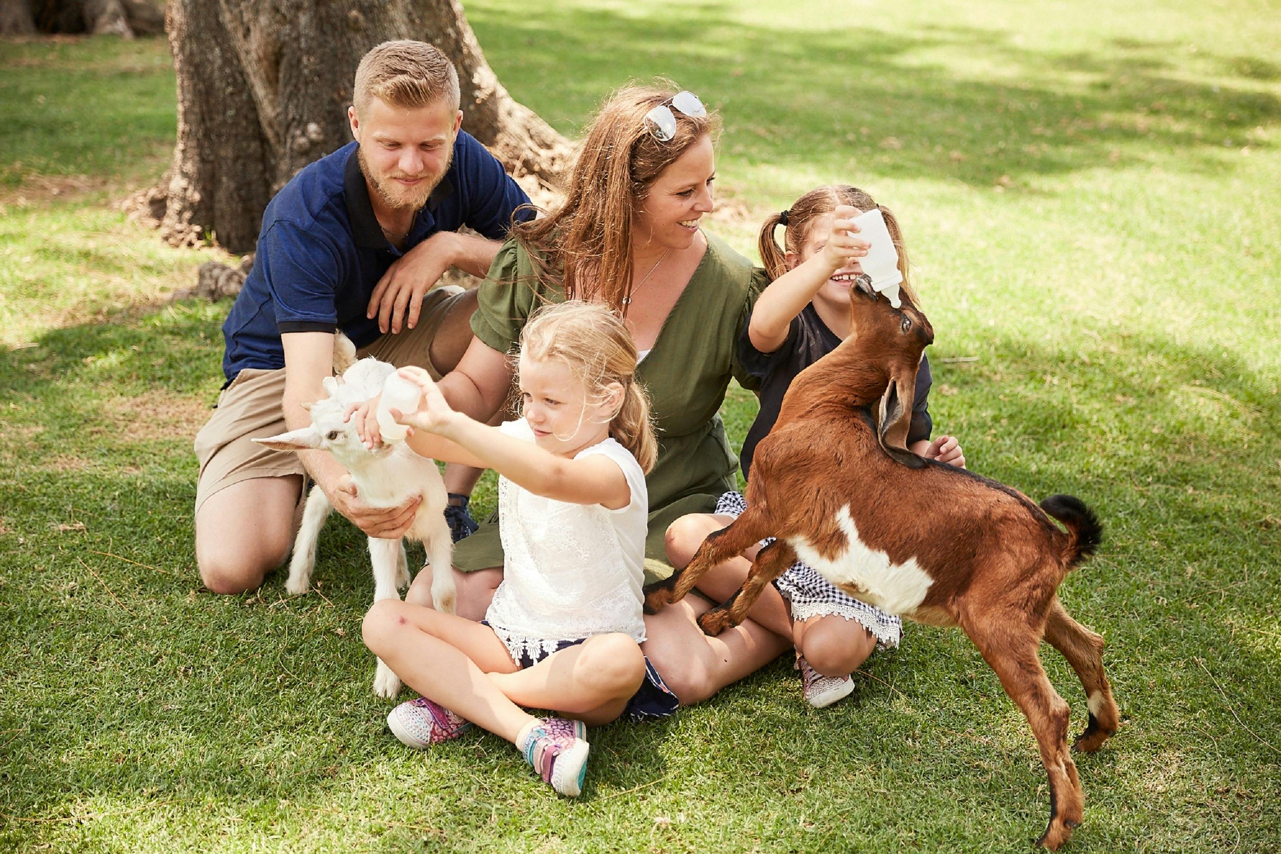 Family petting animals at oak vale wild life park