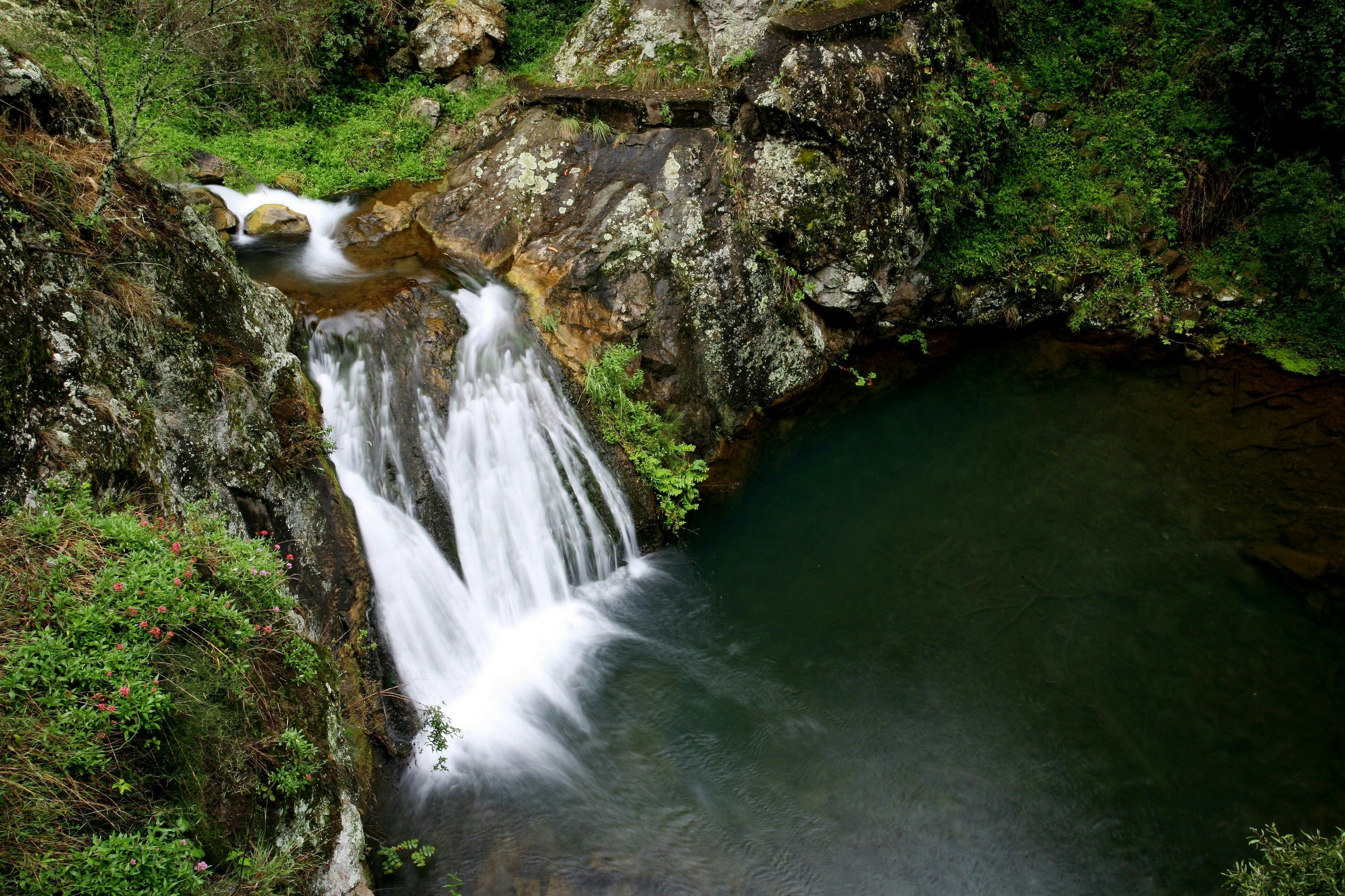 Tierwelt - Blue Mountains, Jenolan River, Jenolan Caves, Destination NSW