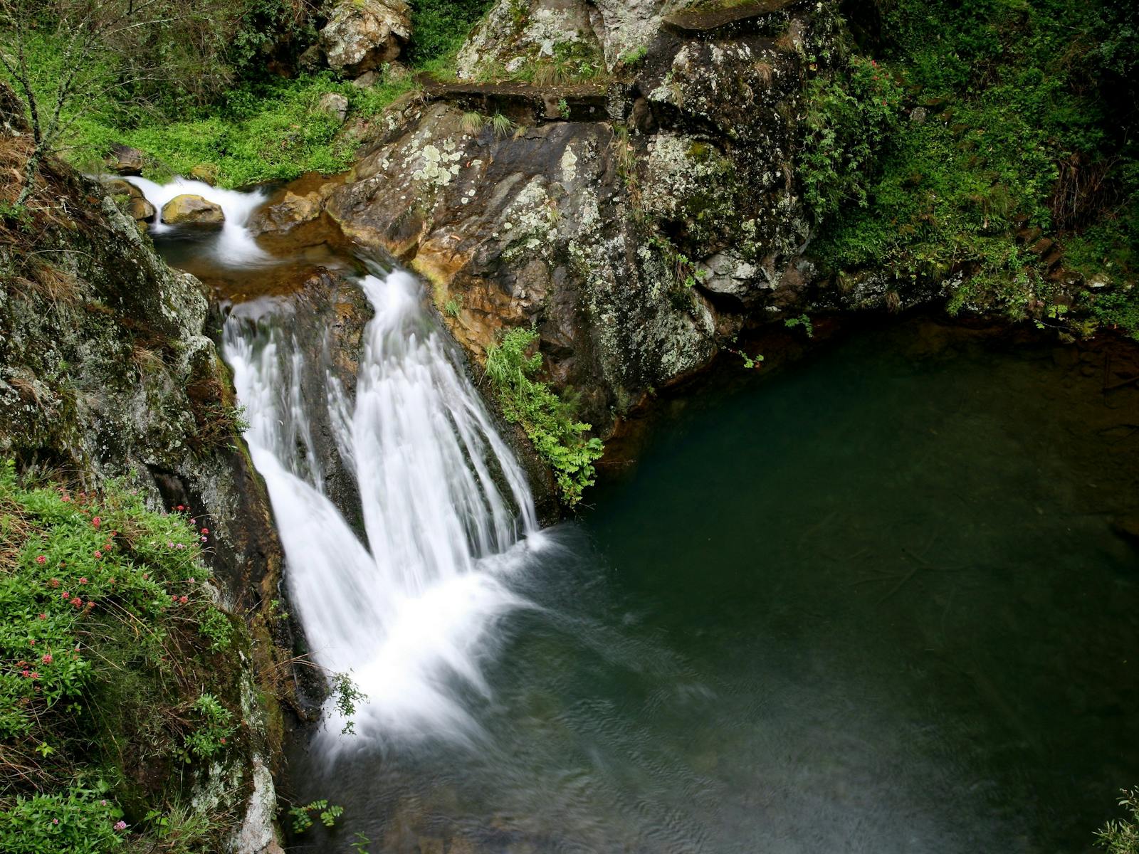 Wildlife - Blue Mountains, Jenolan River, Jenolan Caves, Destination NSW