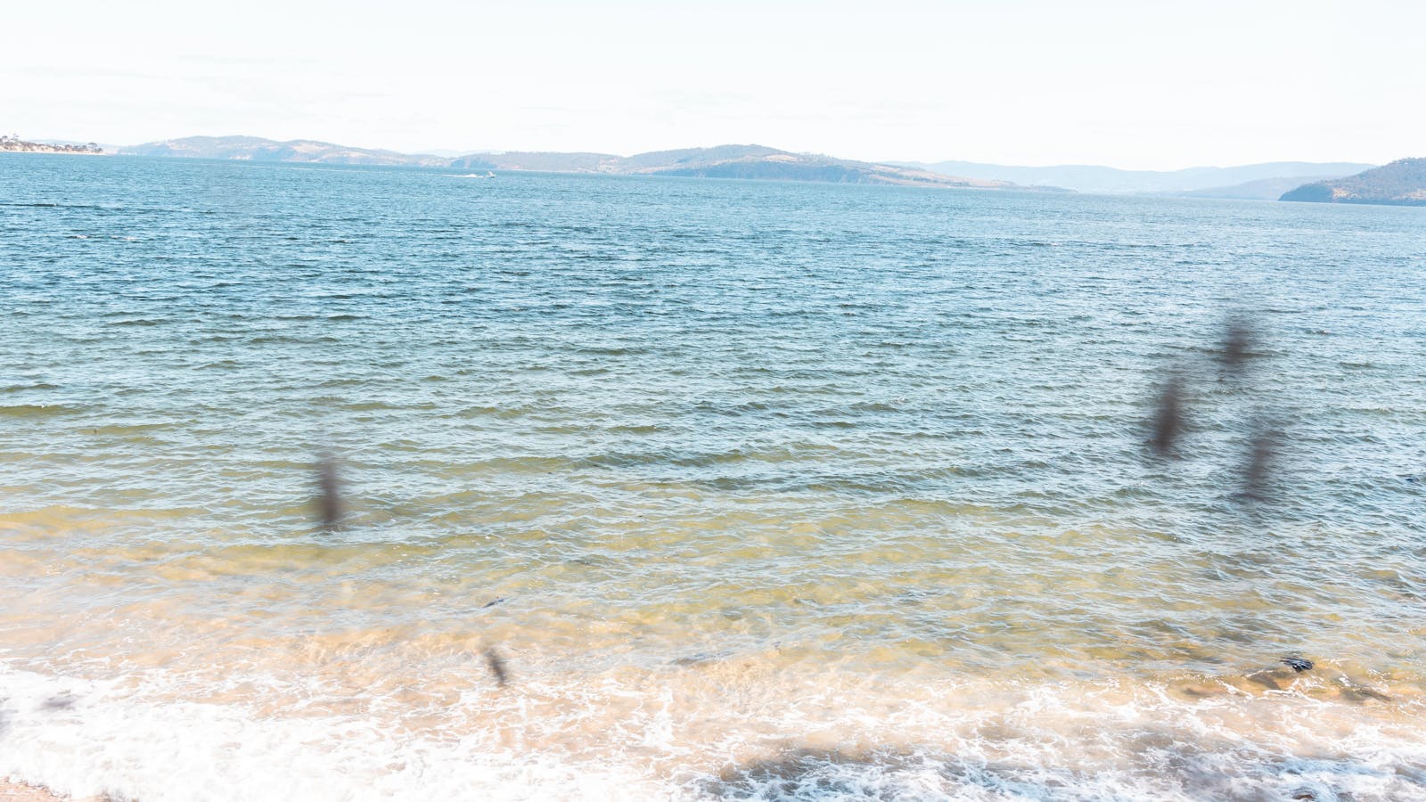 Half-Moon Bay just a stone throw away