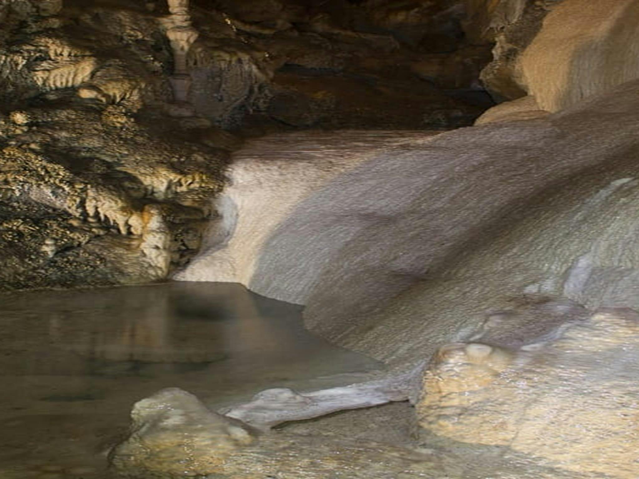 A pool of water surrounded by unique cave formations in Kooringa Cave. Credit: Stephen Babka/DPE