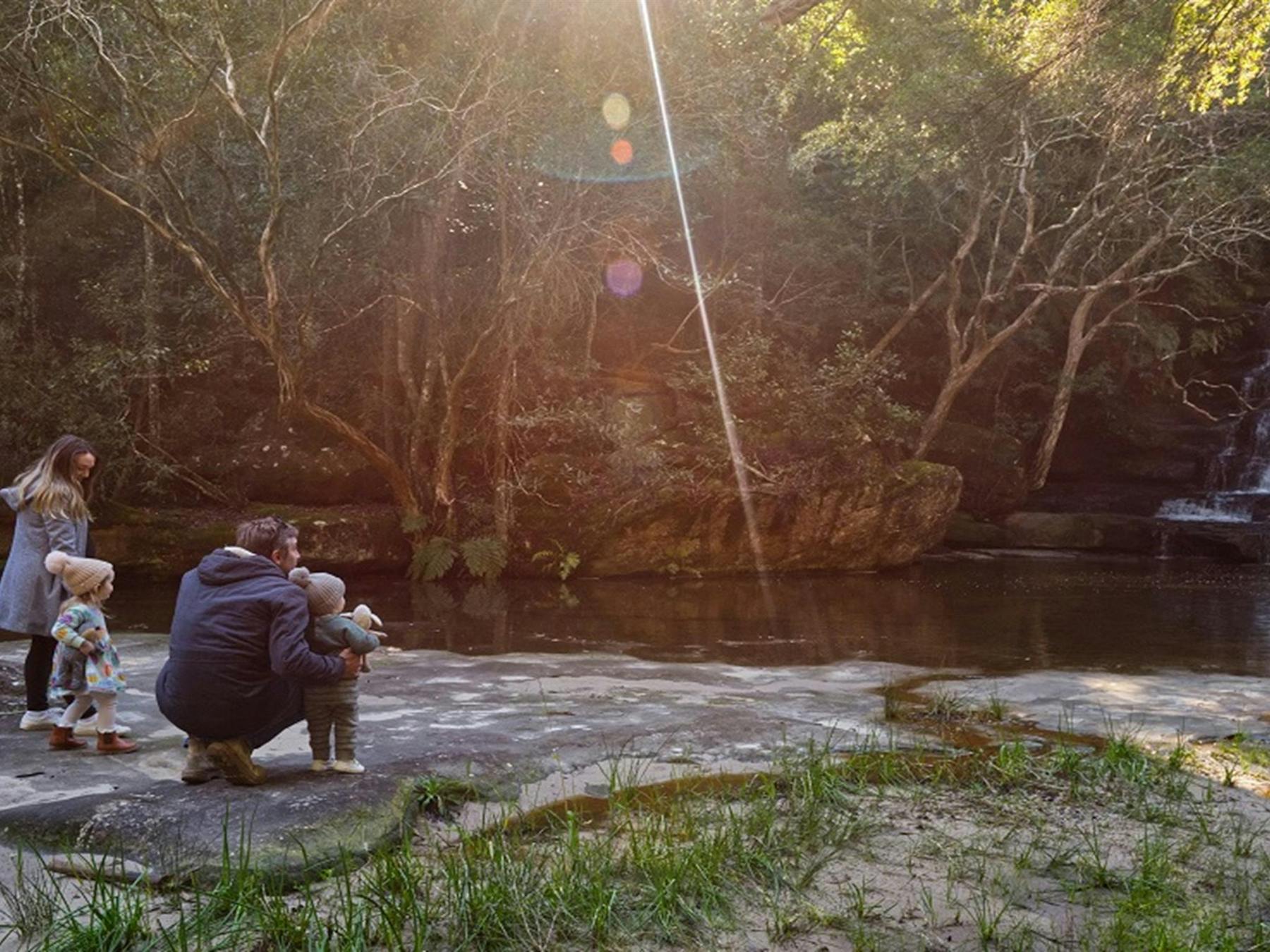 A family of four stops to admire the falls at the base of Somersby Falls walking track, Brisbane