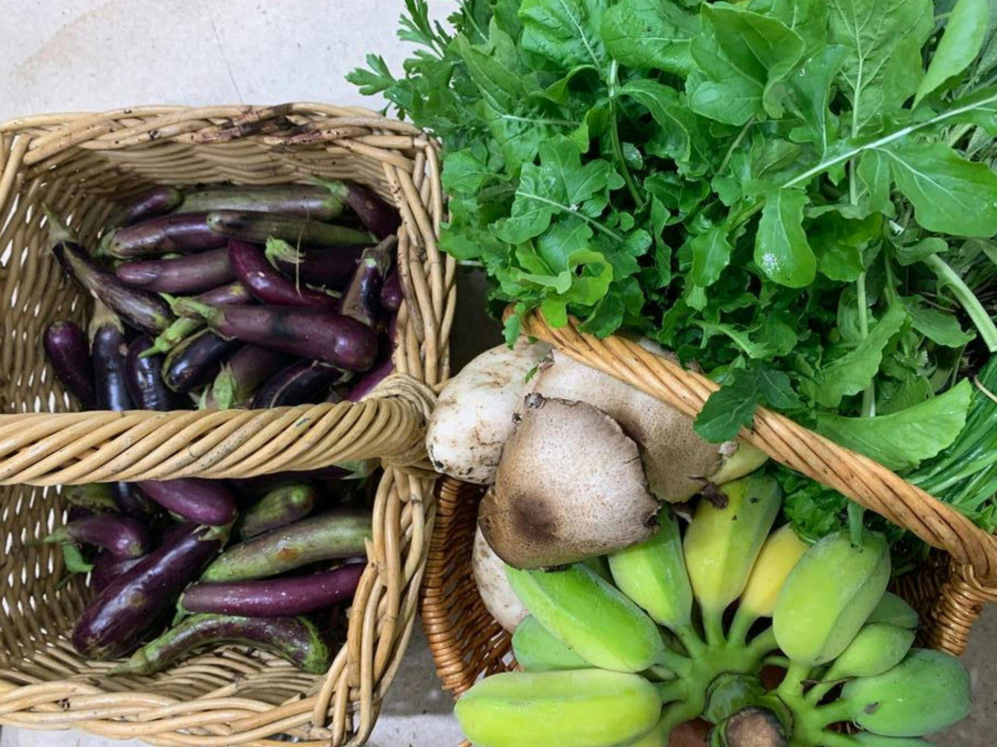 Slow Food Market - Organic