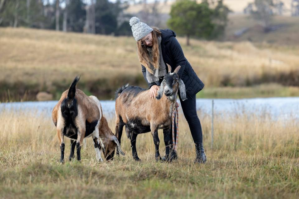 Paradise Road Farm photo