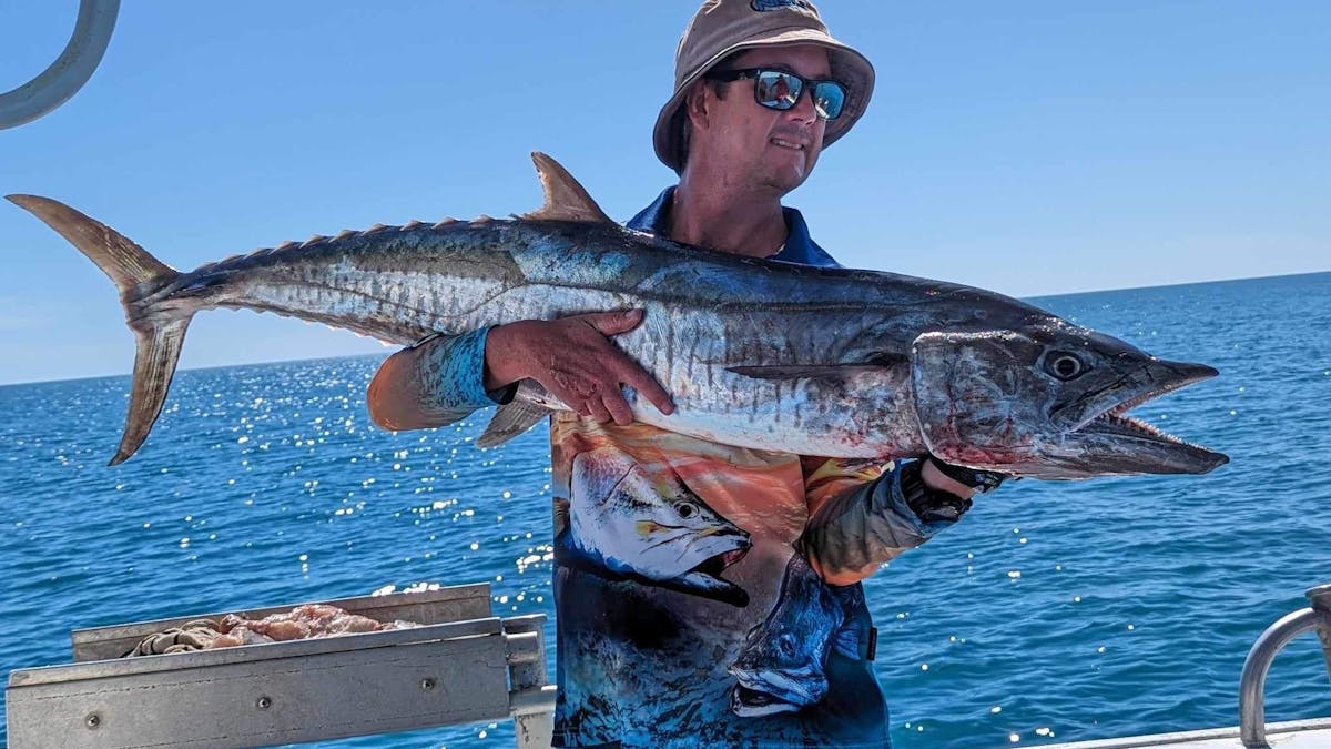 Spanish Mackerel