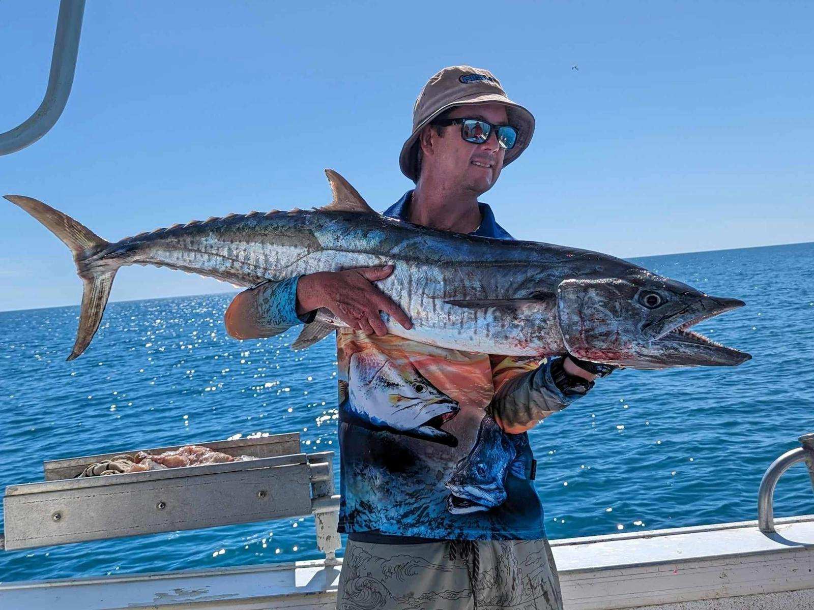 Spanish Mackerel