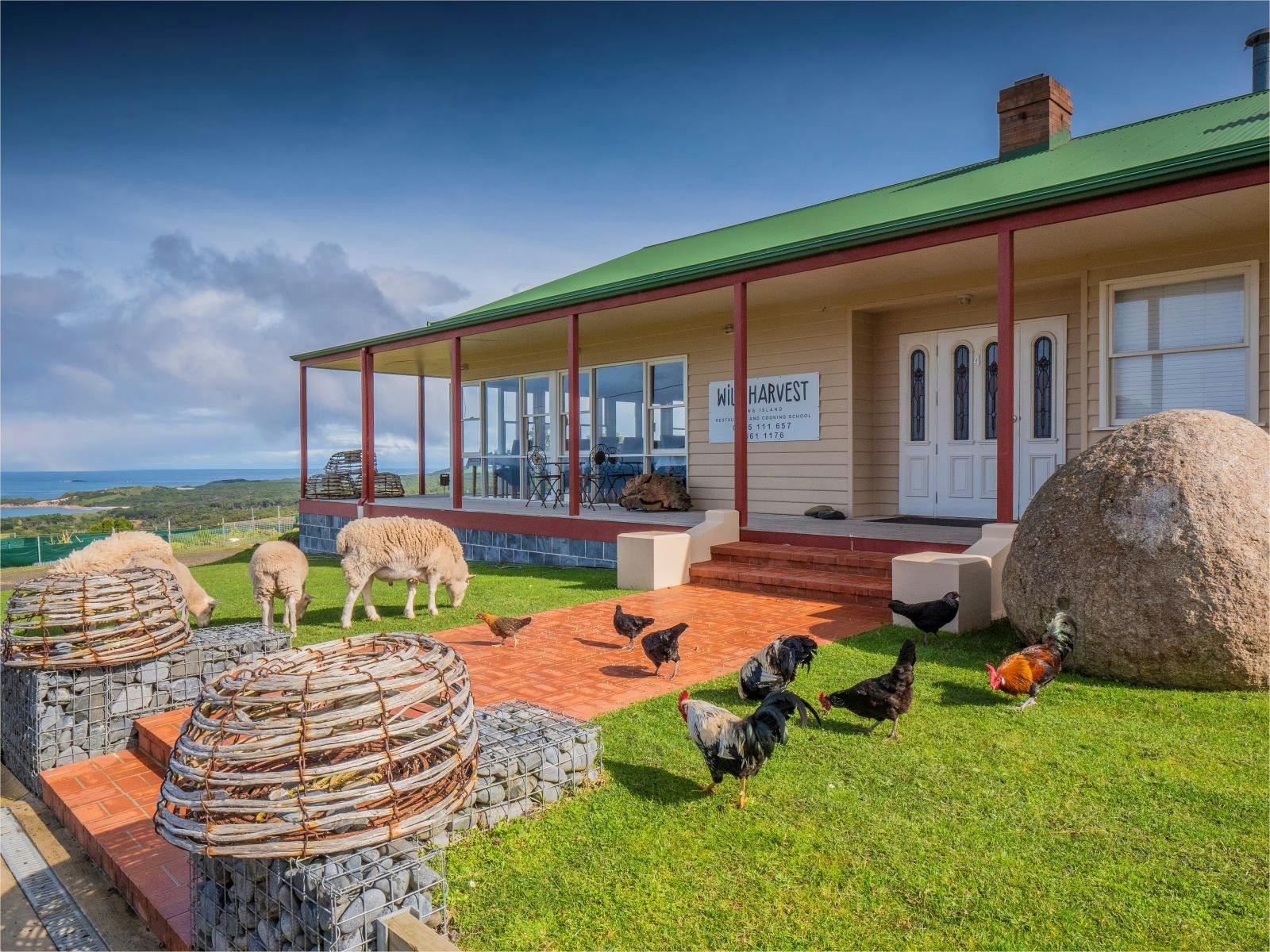 Wild Harvest Restaurant & Cooking School