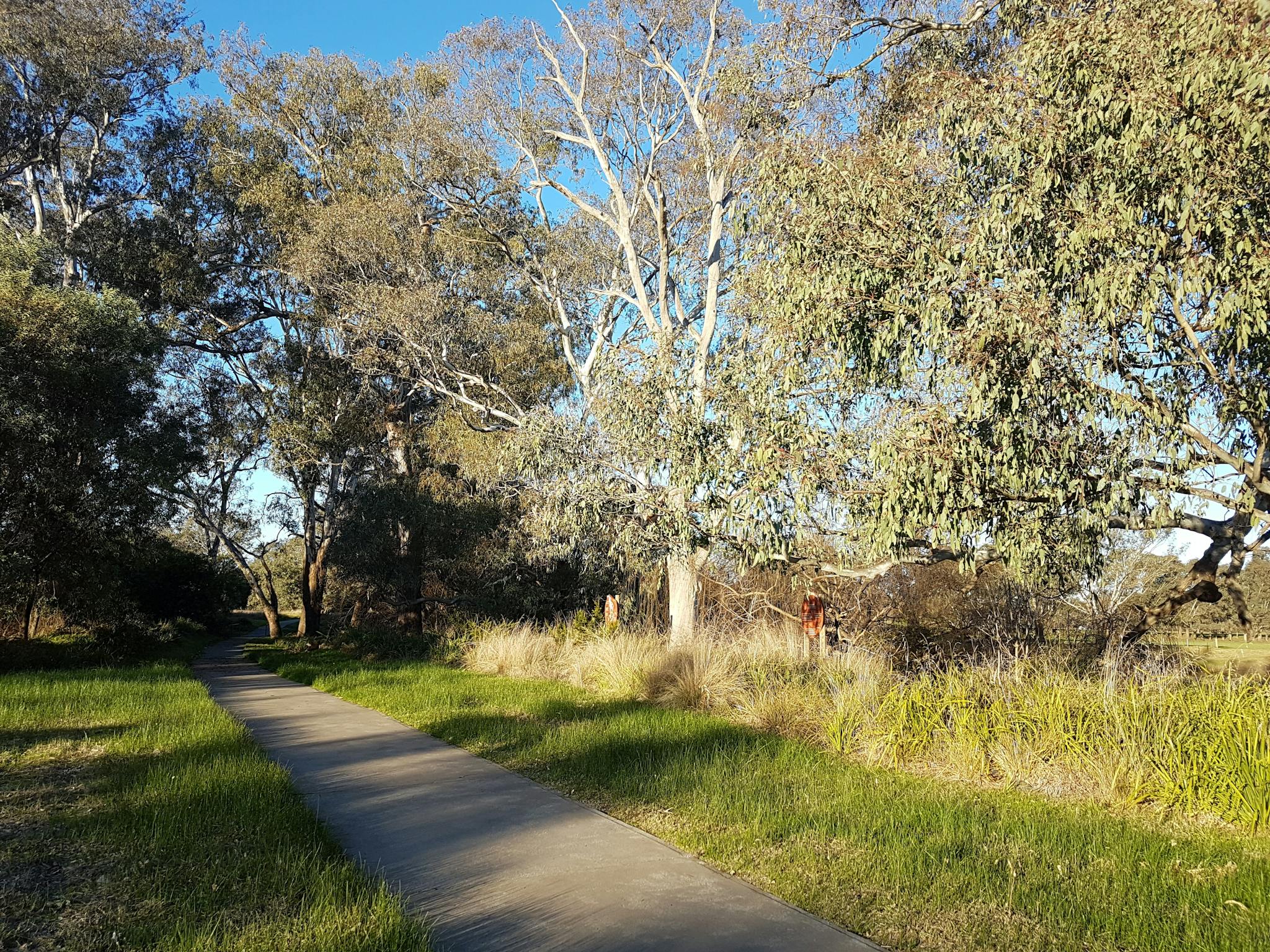 Gateway Island Trail