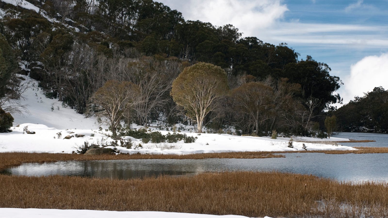 Mount Buffalo National Park