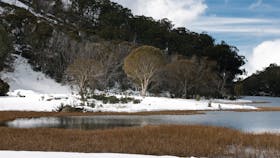 Mount Buffalo National Park