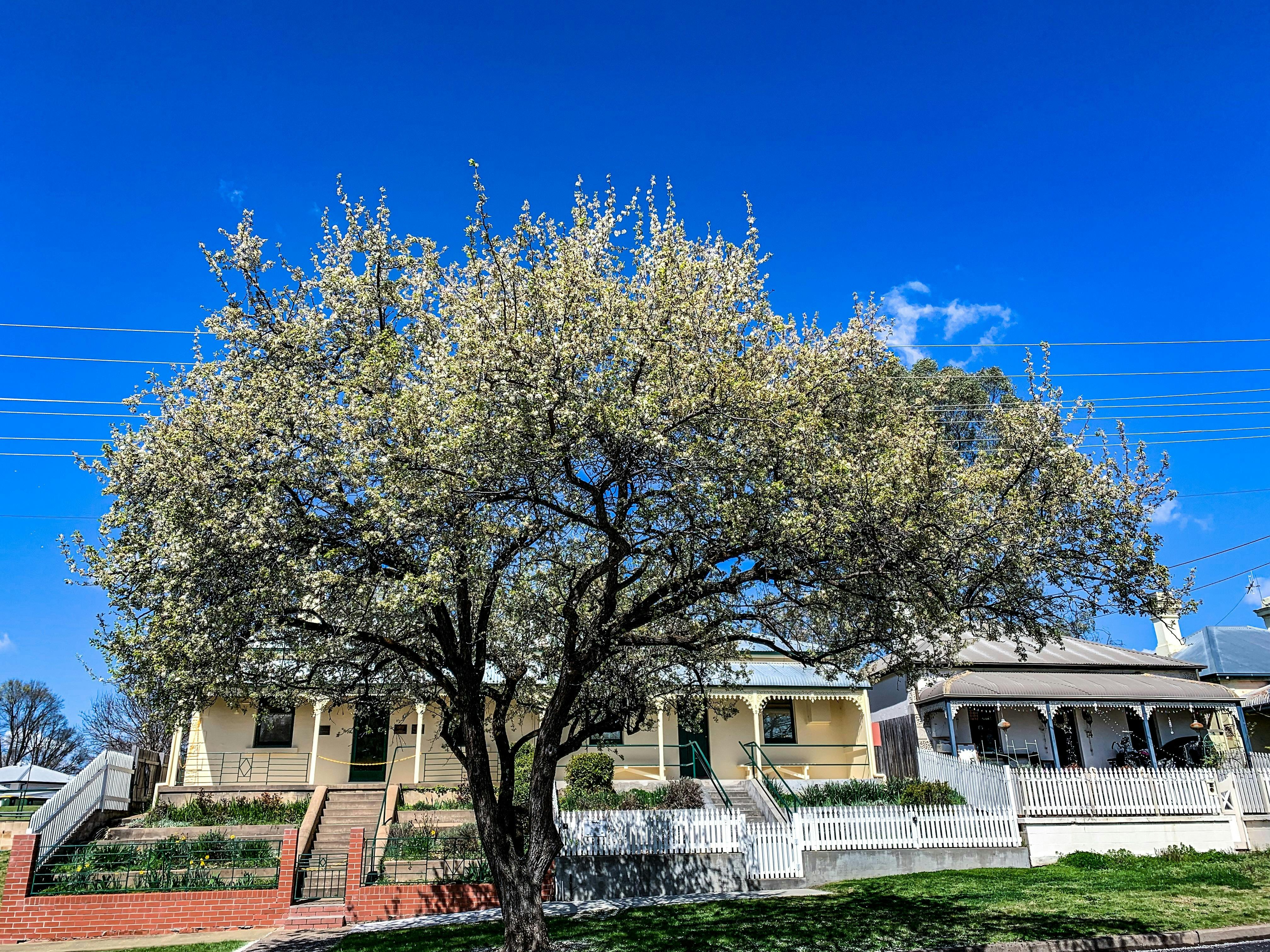 Chifley Home & Education Centre