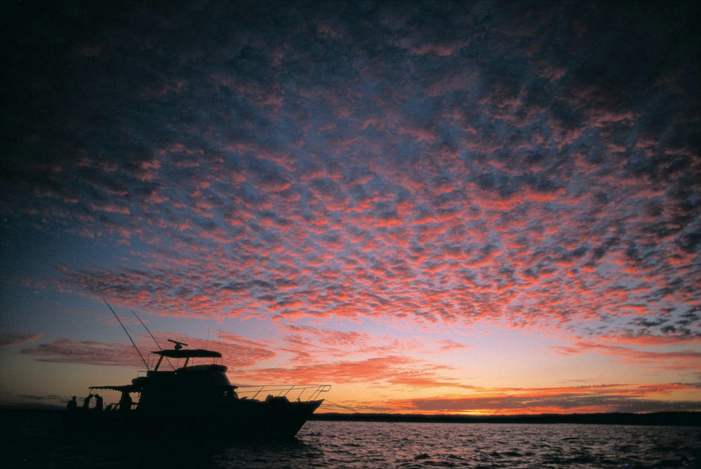 Coral Coast Wildlife, Exmouth, Western Australia