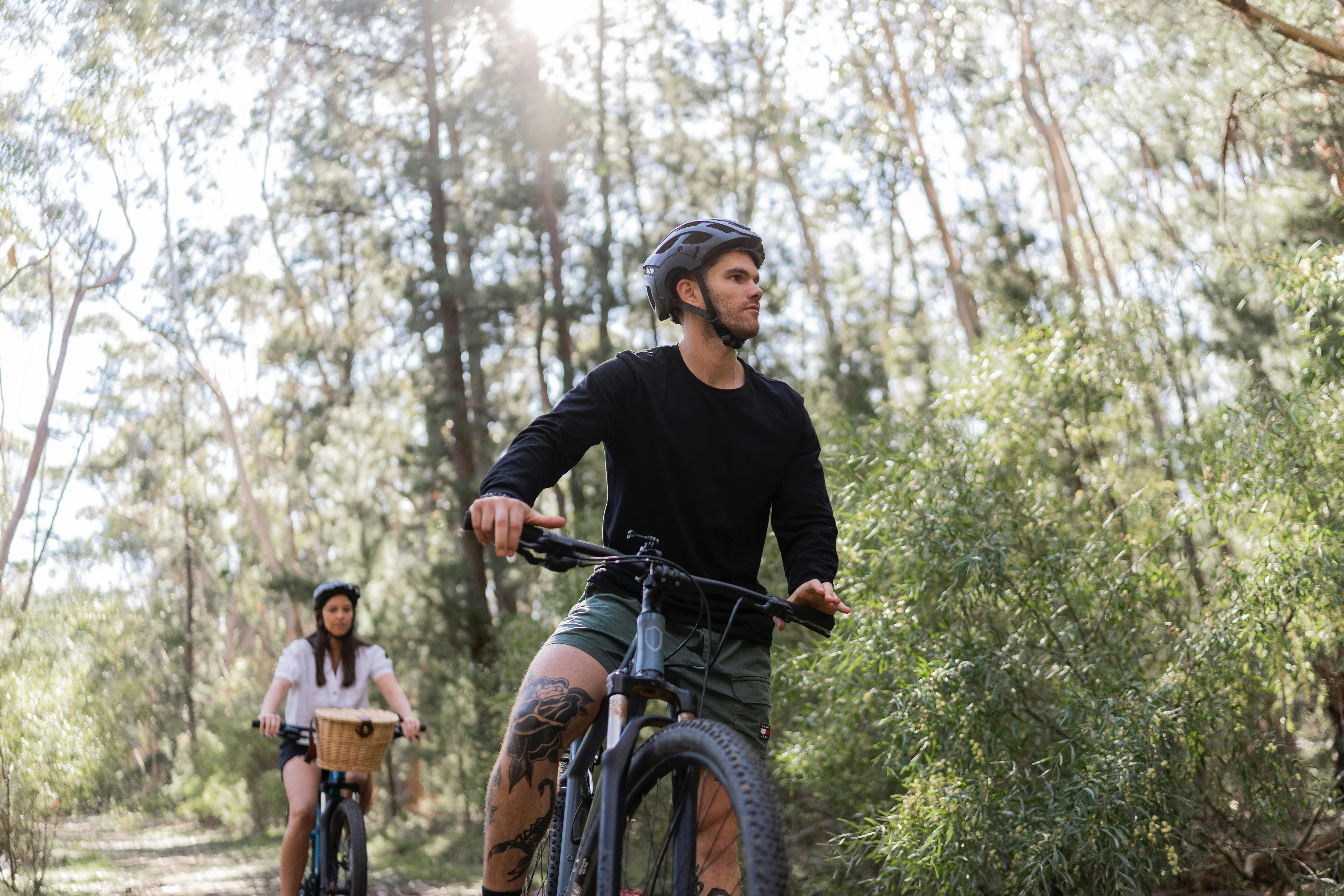 discover the native and pine Forrests of the Fleurieu with Elements of Adventure