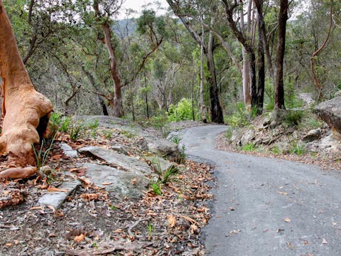 Stepping Stone Crossing to Cascades Trail