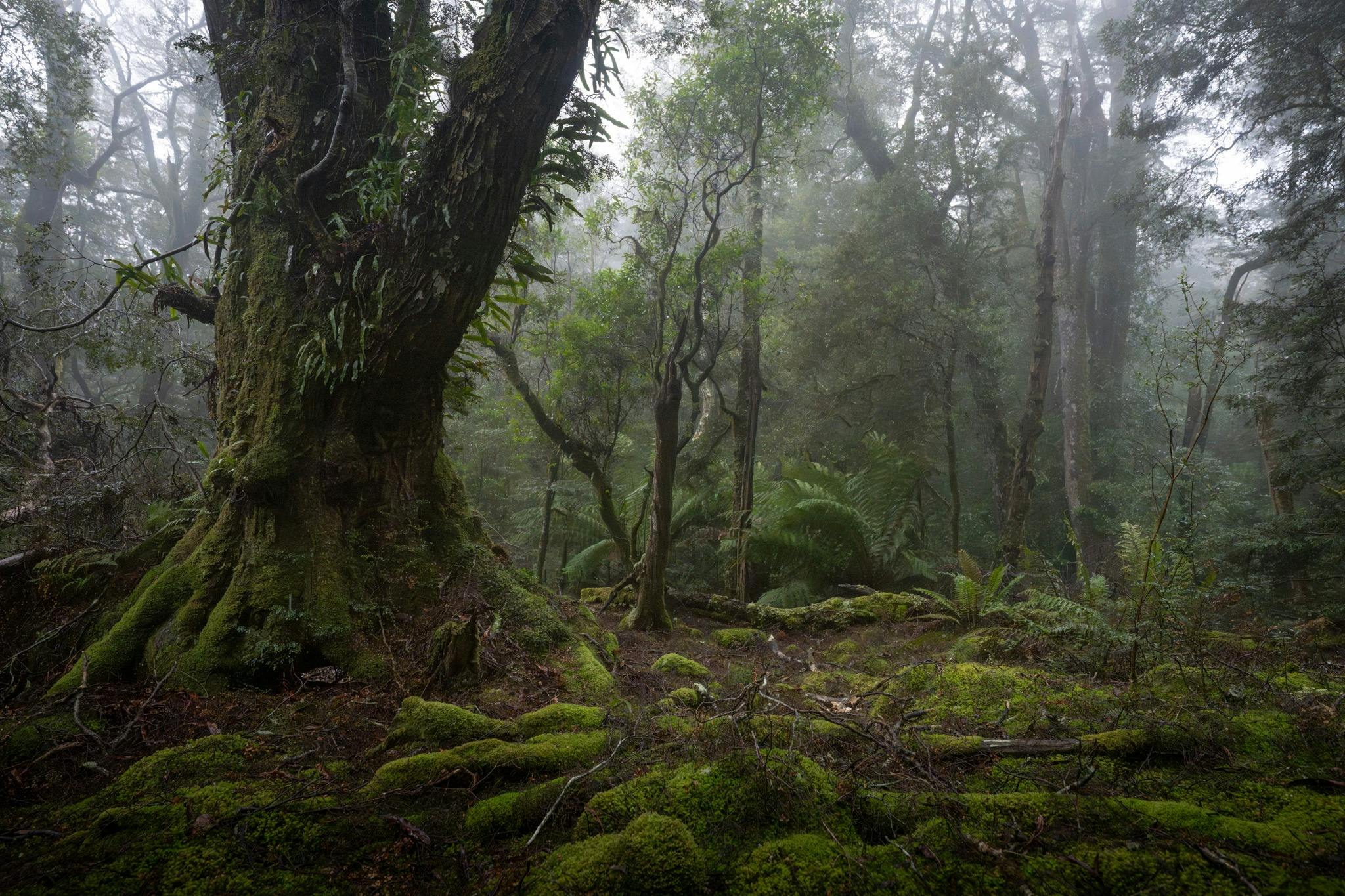 Tasmanian Photography Tours