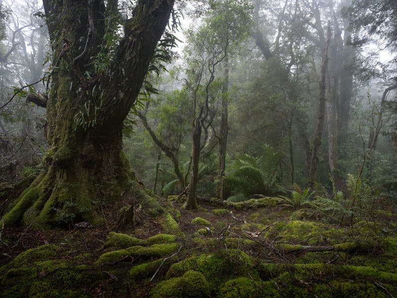 Tasmanian Photography Tours