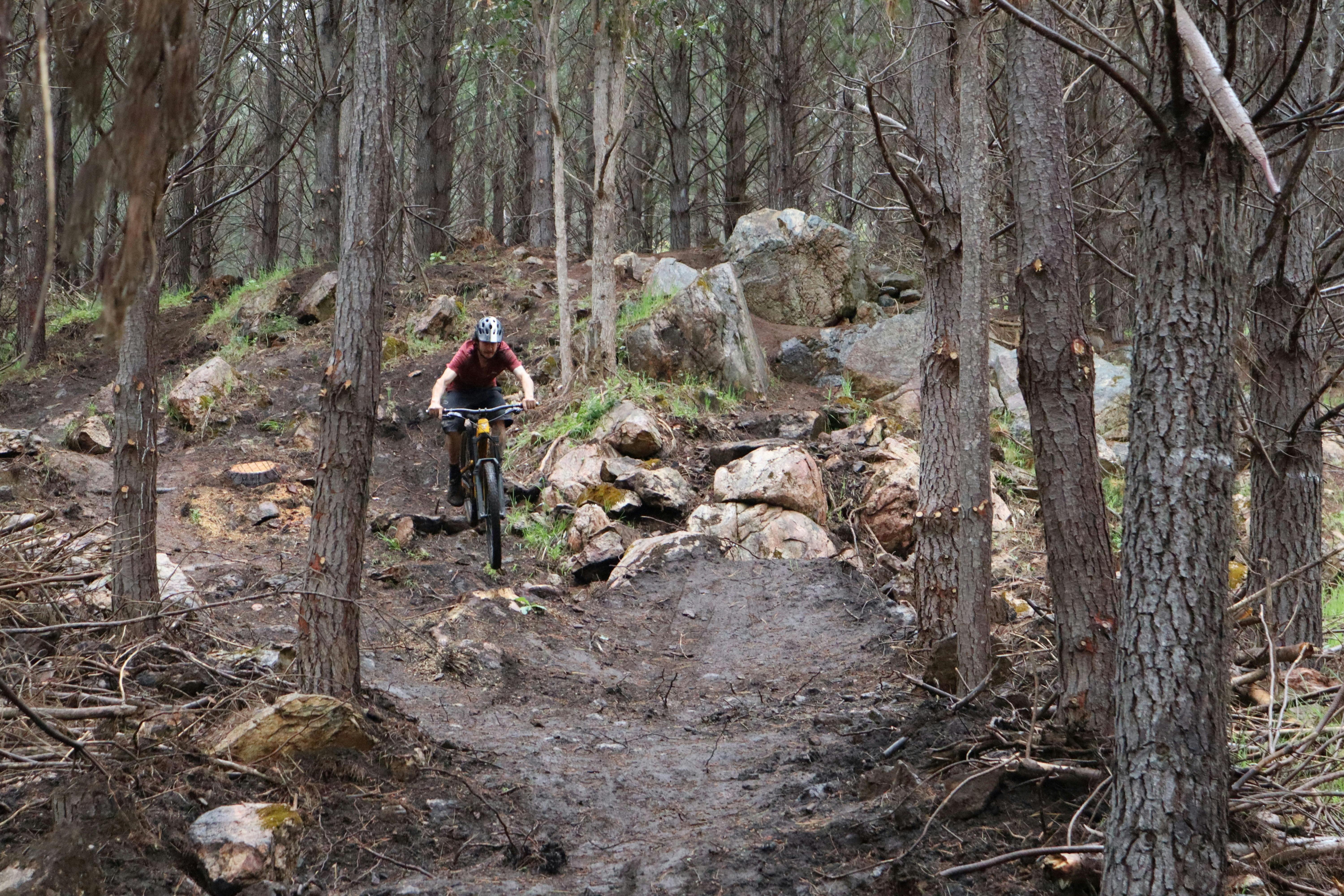 David Du Plessis riding The Local at Tank 7 Mtb Park