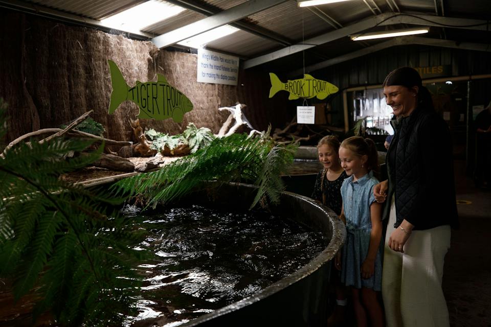 Wings Wildlife Park photo
