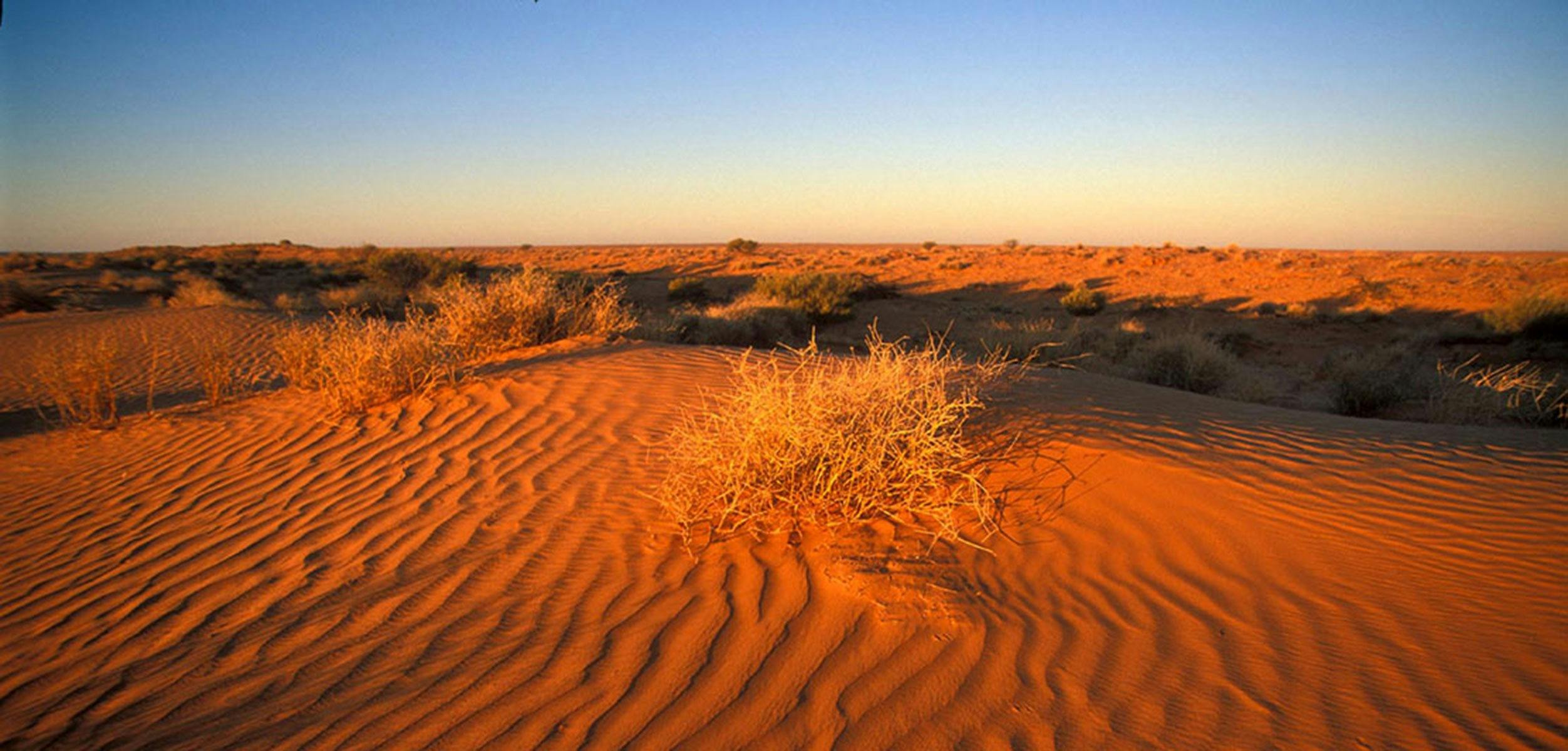 Sunset on a sandune