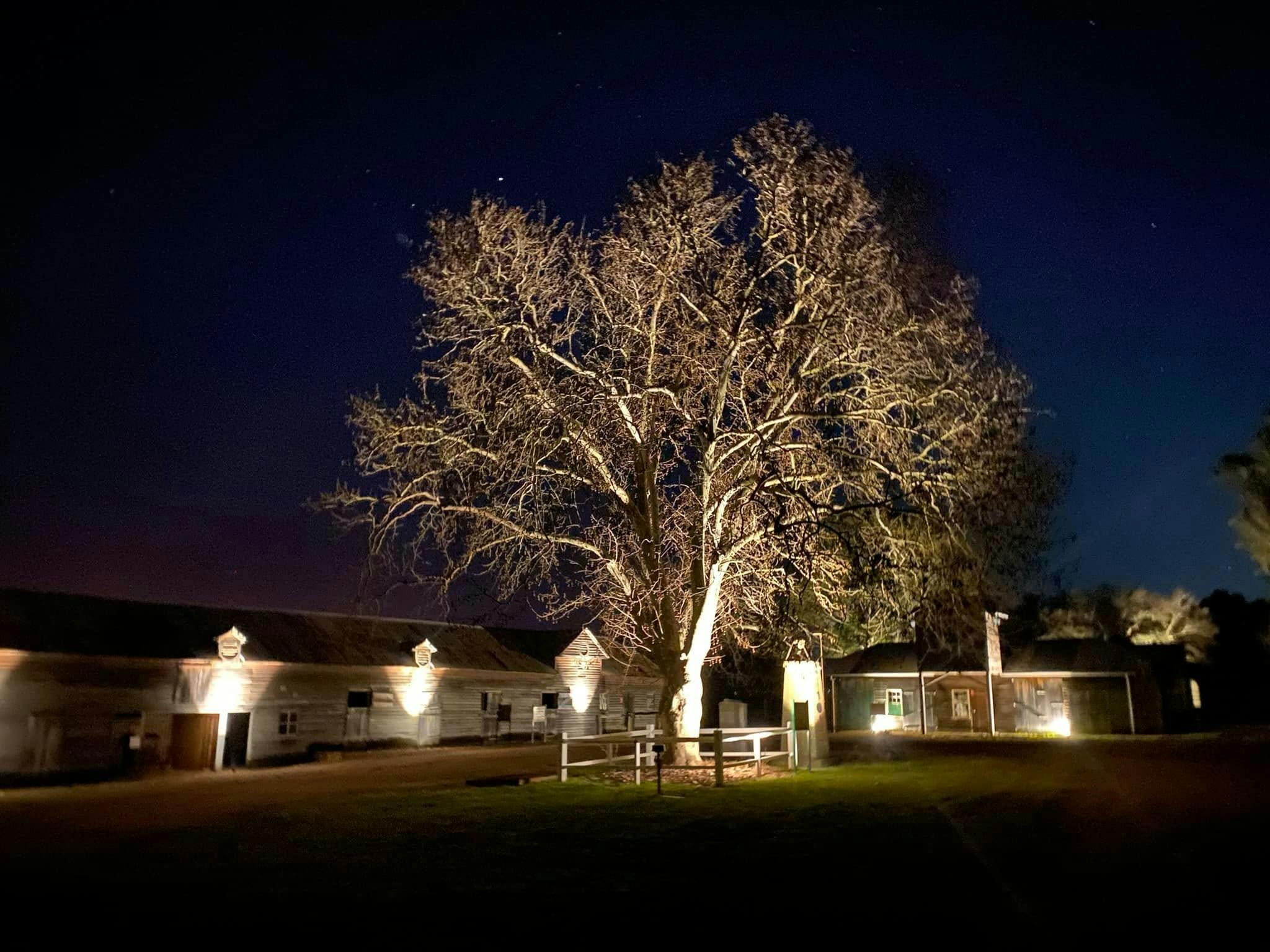Belgenny Farm von Forte