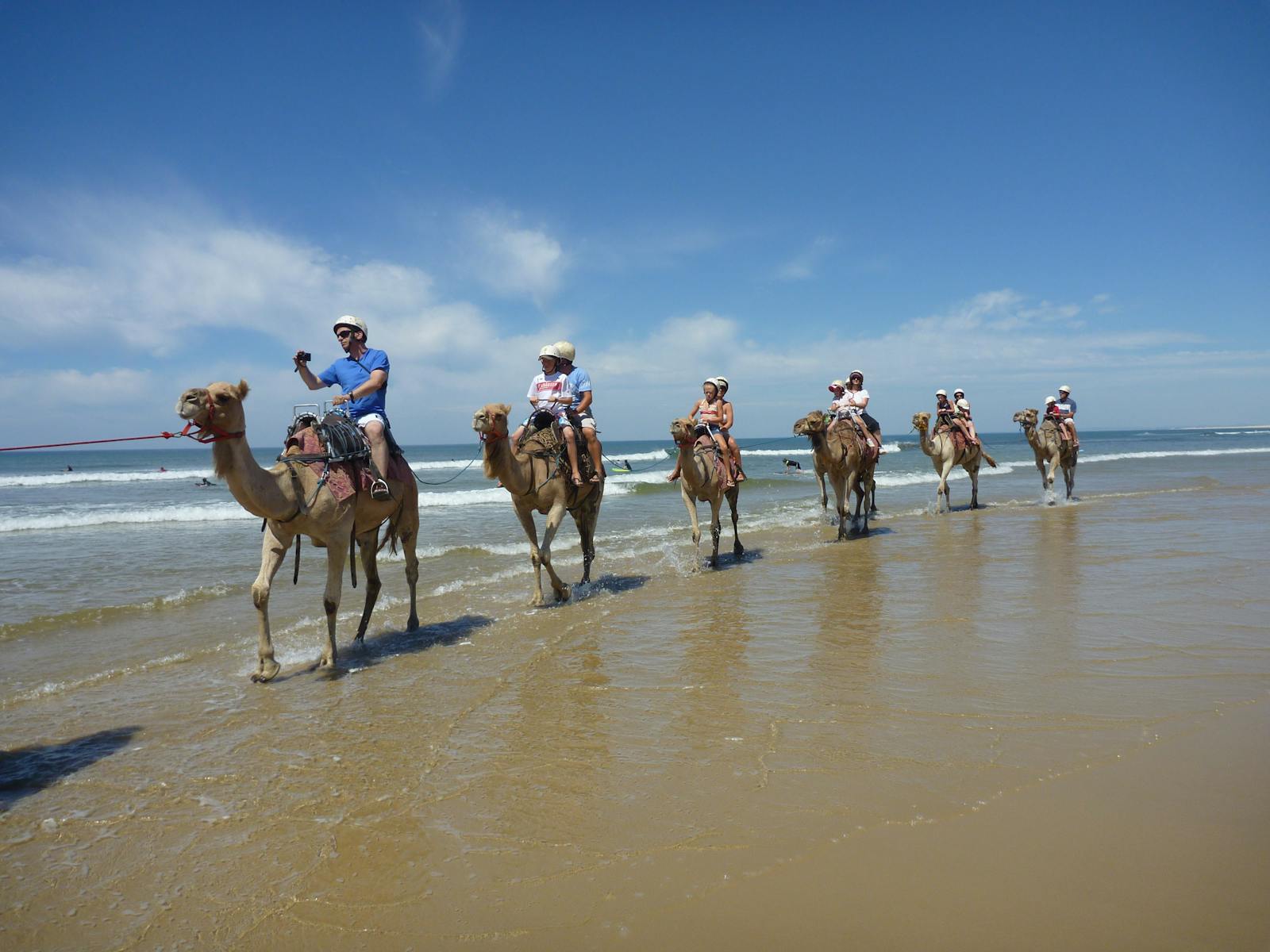 Oakfield Ranch Camel Rides