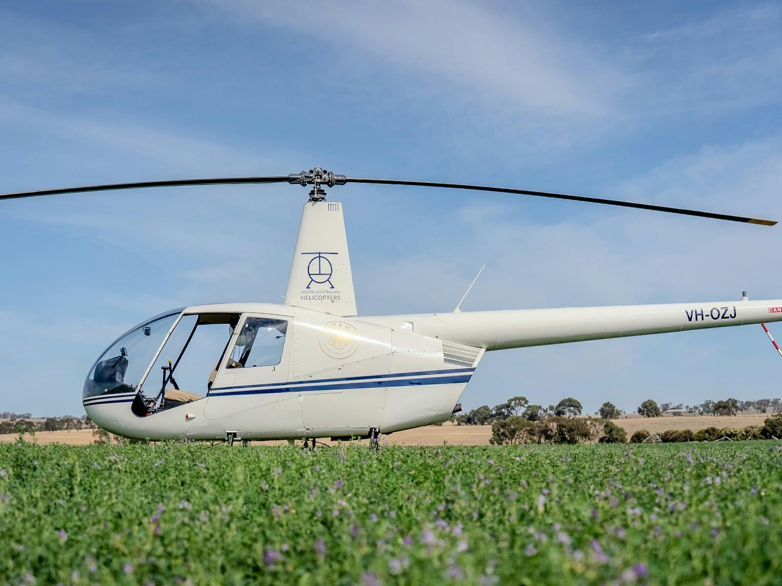Return transfer from Adelaide Airport to Experience location
