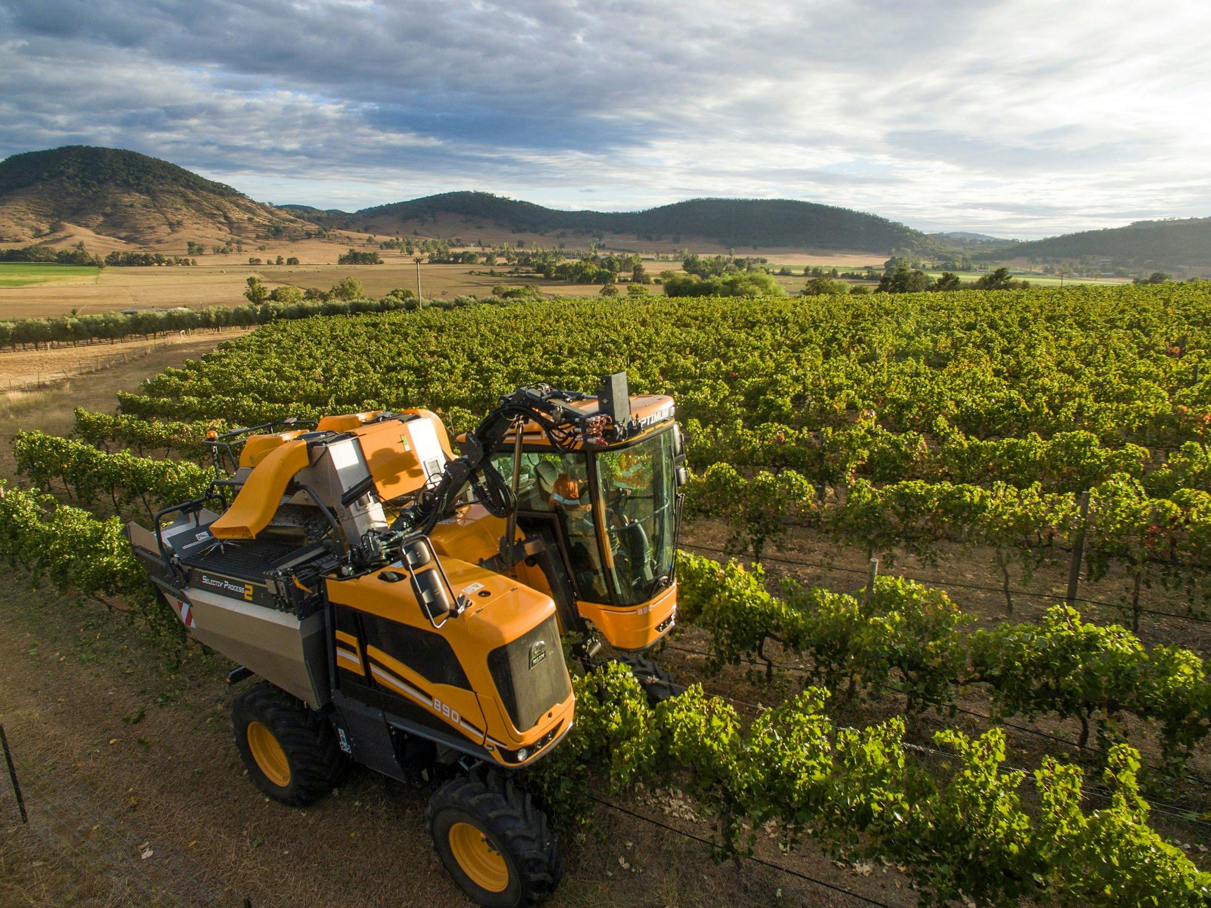 Harvest at First Ridge