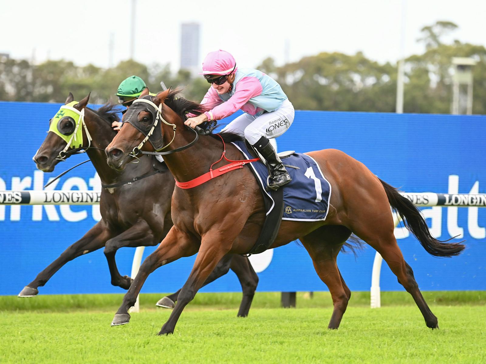 Ladies day horse racing