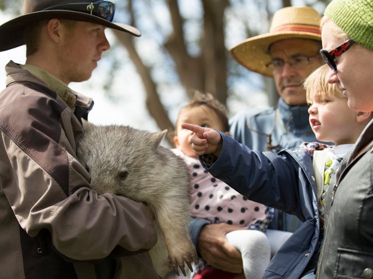 Man holding wombat with little girl patting it
