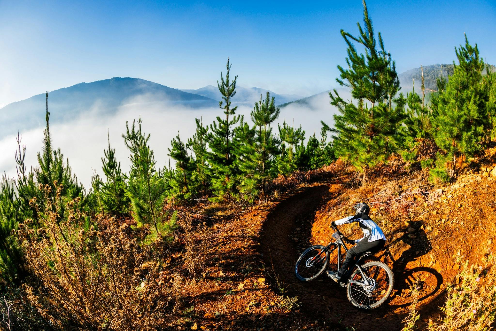 Rider in mountains surrounded by pines with mountain backdrop and cloud inversion