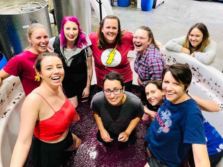 Grape Stomping at the Tractorless Winery